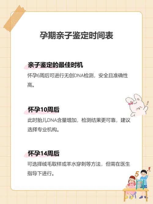 怀孕期间怎么做亲子鉴定-第1张图片-郑州医学网 怀孕期间怎么做亲子鉴定-第1张图片-郑州医学网