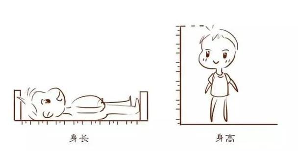 新生儿身高50cm正常吗？需关注发育吗？-第2张图片-郑州医学网