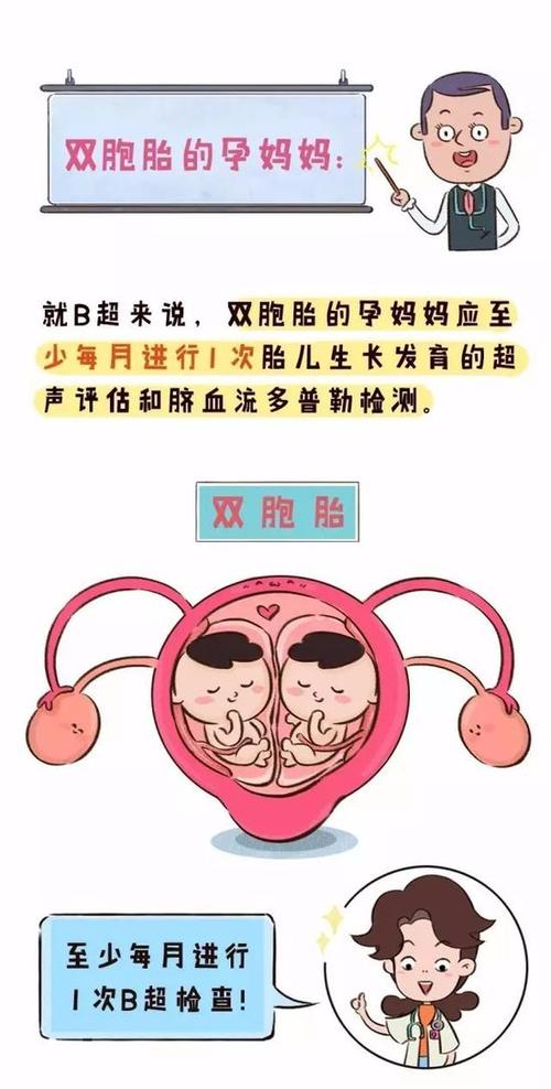 孕期B超要做几次?-第3张图片-郑州医学网 孕期B超要做几次?-第3张图片-郑州医学网