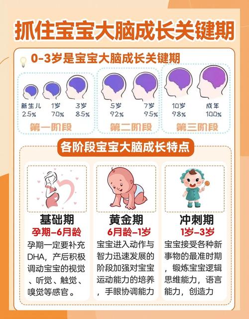 孕期脑部发育关键期有哪些？-第2张图片-郑州医学网