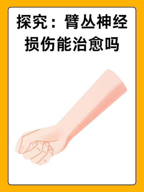 新生儿臂丛神经损伤如何有效治疗?-第1张图片-郑州医学网 新生儿臂丛神经损伤如何有效治疗?-第1张图片-郑州医学网