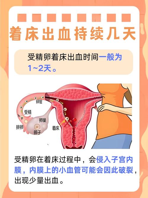 孕期出血躺多久能好？-第1张图片-郑州医学网