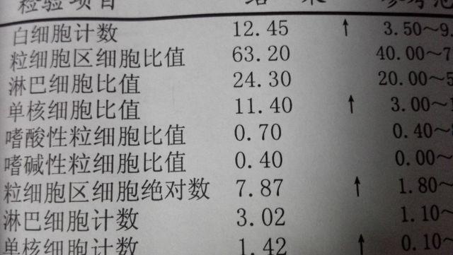 孕期中性粒细胞比率高-第3张图片-郑州医学网 孕期中性粒细胞比率高-第3张图片-郑州医学网