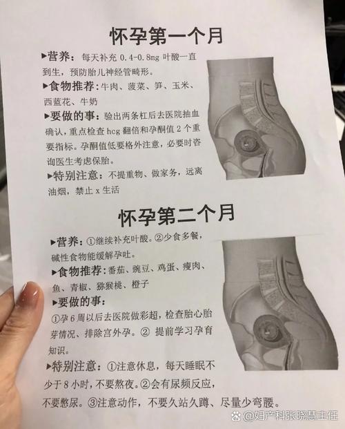 孕期叶酸该啥时候补？-第3张图片-郑州医学网