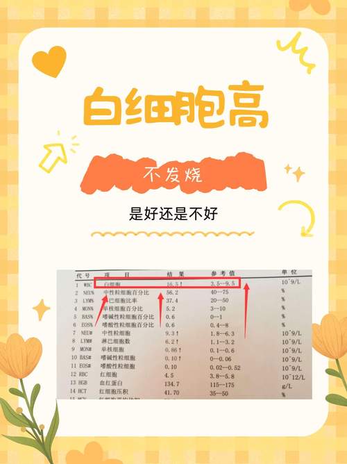 新生儿白细胞高怎么办?-第1张图片-郑州医学网 新生儿白细胞高怎么办?-第1张图片-郑州医学网