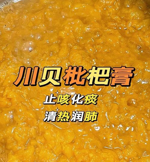 孕期食用川贝枇杷膏会否影响胎儿健康？成分安全性与用药禁忌需注意什么？-第3张图片-郑州医学网