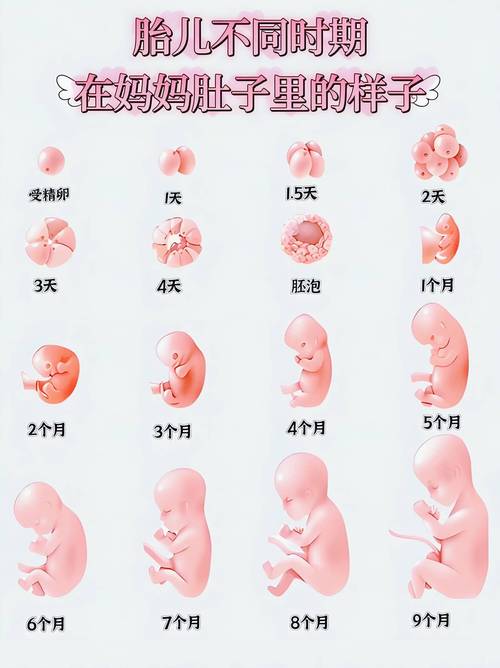 新生儿从出生到生后多久才算真正脱离新生儿期？-第1张图片-郑州医学网