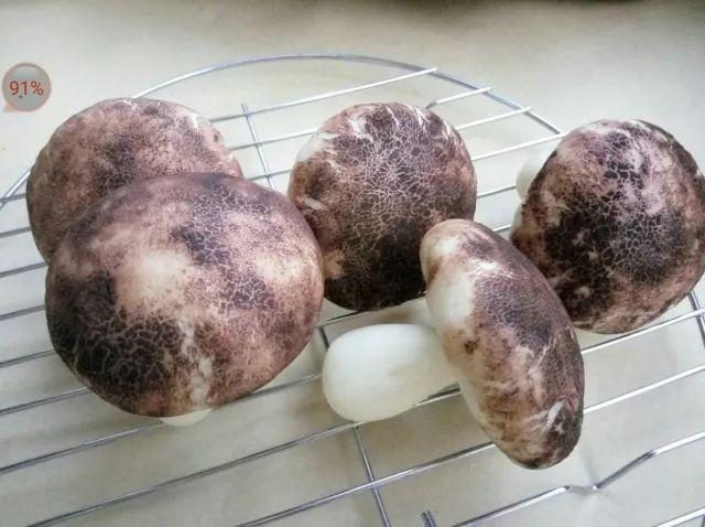 新生儿龟头白色分泌物是正常现象还是异常信号？需要如何处理？-第2张图片-郑州医学网