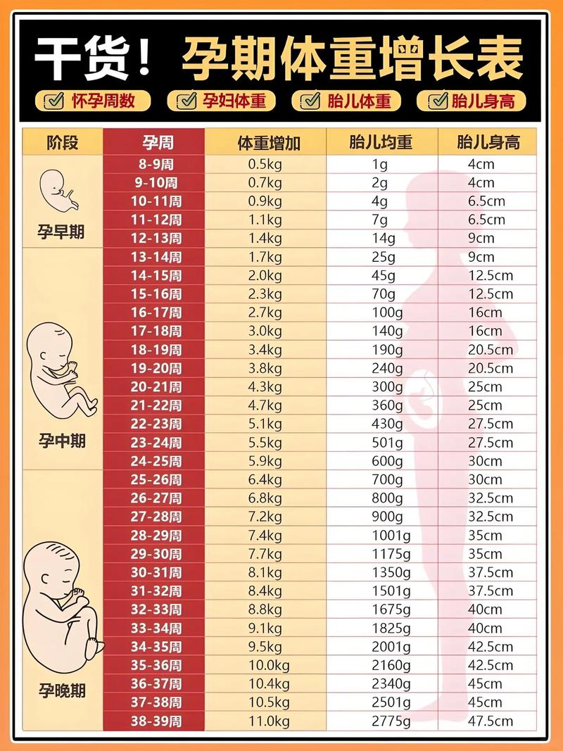 孕期体重仅增长16斤是否偏少？对胎儿发育会有影响吗？-第1张图片-郑州医学网