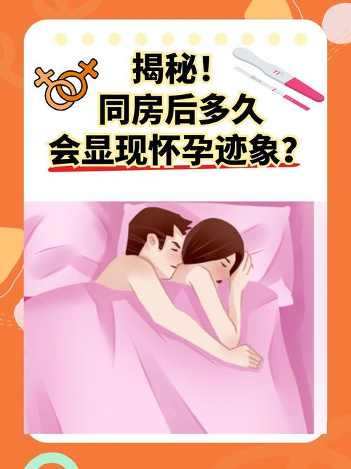 受孕期同房一定会怀孕吗？排卵期前后同房怀孕概率有多大？-第1张图片-郑州医学网