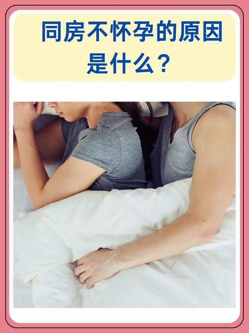 受孕期同房一定会怀孕吗？排卵期前后同房怀孕概率有多大？-第3张图片-郑州医学网