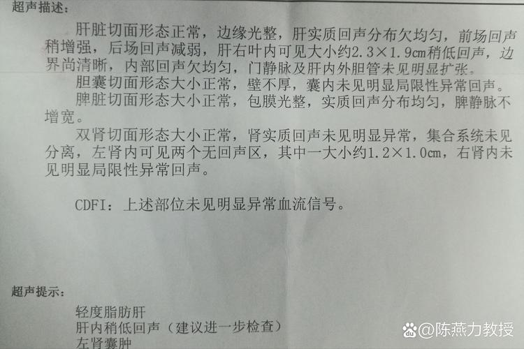 儿童肝脏超声正常大小-第1张图片-郑州医学网