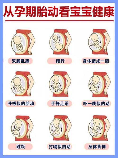 孕期25周胎动很频繁-第3张图片-郑州医学网