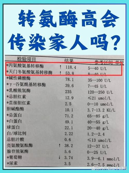 孕期转氨酶升高是否具有传染性？会对胎儿造成影响吗？-第1张图片-郑州医学网