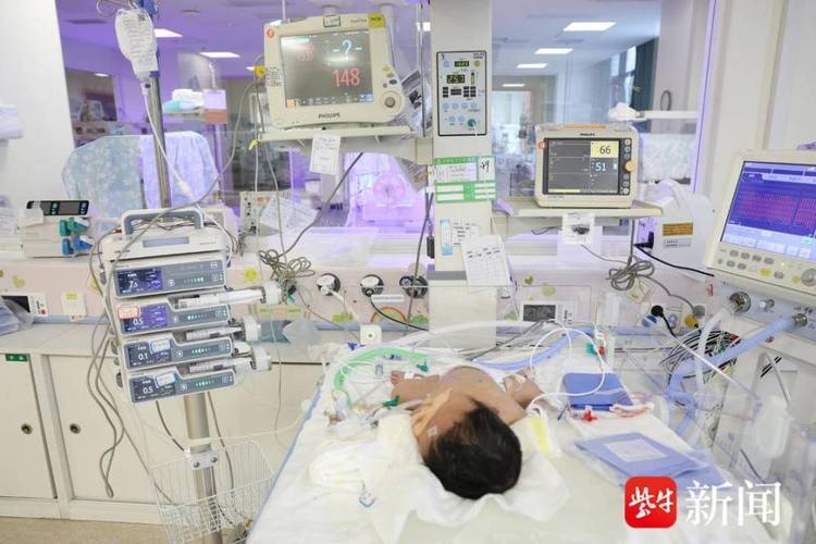医院新生儿图片大全，这些照片是如何拍摄与使用的？涉及哪些隐私保护措施？-第3张图片-郑州医学网