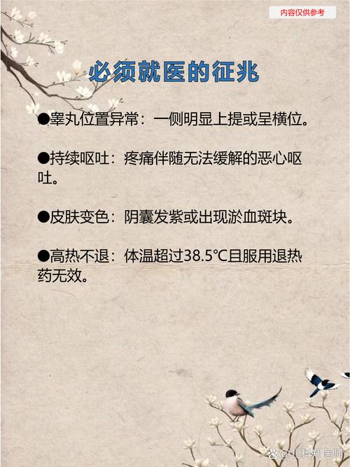 儿童睾丸红肿是炎症还是外伤？家长该如何紧急处理？-第1张图片-郑州医学网