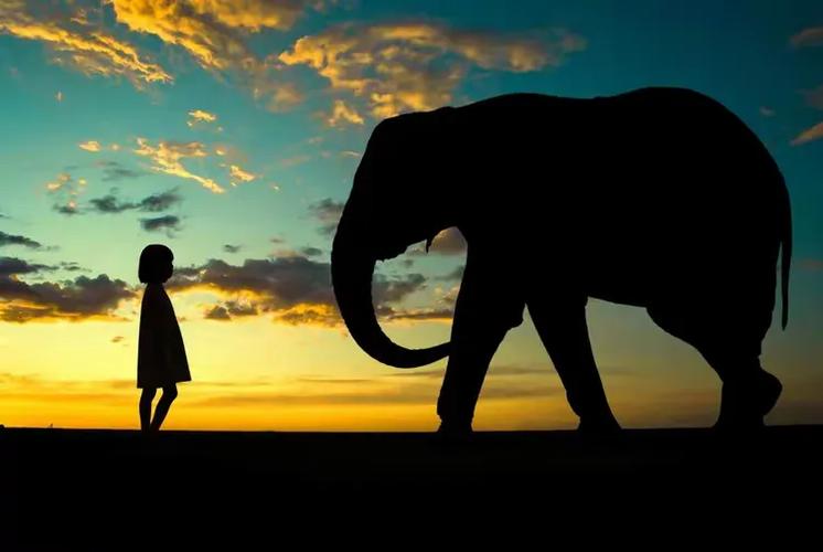 东斓宝贝智能儿童摄影如何用科技捕捉孩子纯真瞬间？-第1张图片-郑州医学网