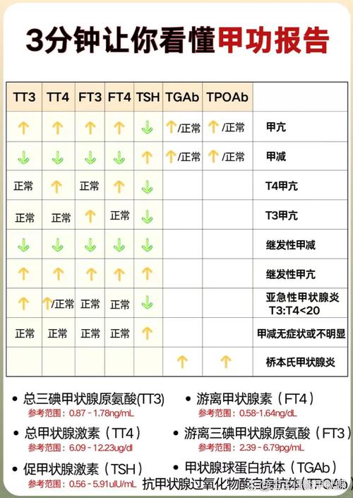 怀孕期间甲状腺正常值-第1张图片-郑州医学网