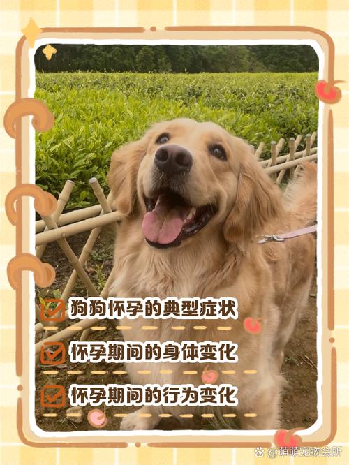 怀孕期间接触动物会感染寄生虫吗？有哪些注意事项需要了解？-第3张图片-郑州医学网