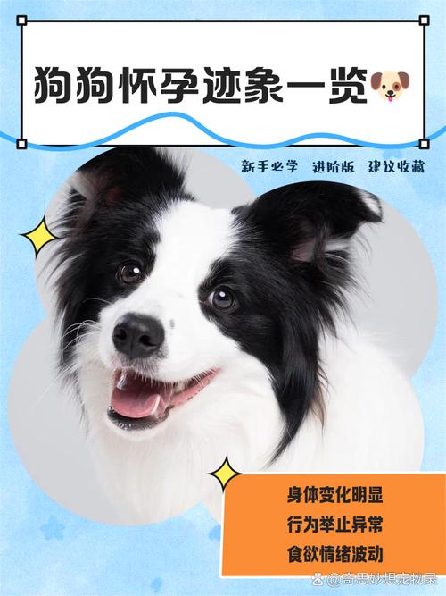 怀孕期间接触动物会感染寄生虫吗？有哪些注意事项需要了解？-第2张图片-郑州医学网