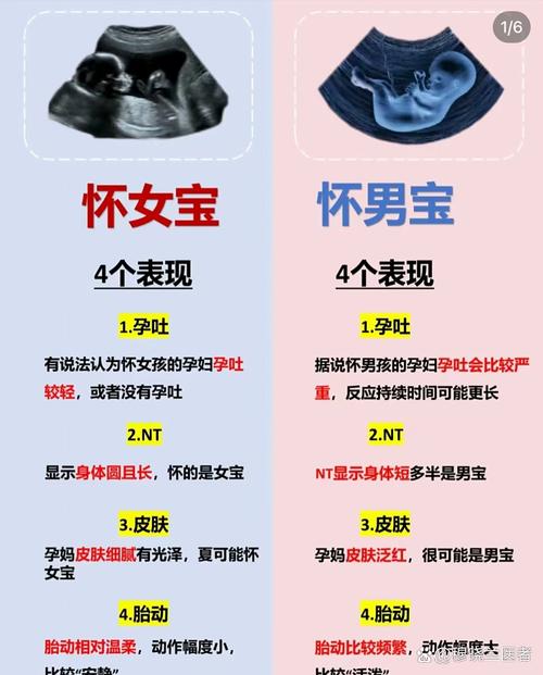 怀孕期间怎样分辨男女-第2张图片-郑州医学网