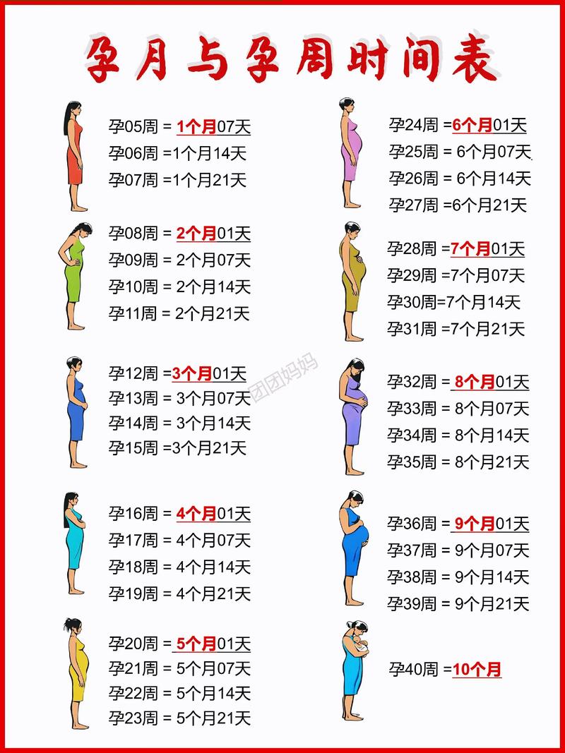 孕期预产期到底该怎么算？末次月经、排卵期或B超检查，哪种方法才最准？-第1张图片-郑州医学网