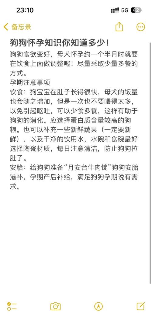 泰迪狗怀孕期间吃什么才能确保胎儿健康和母体营养需求？-第3张图片-郑州医学网