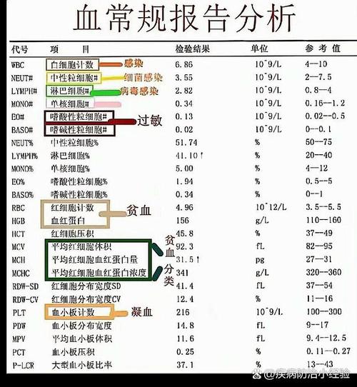 4岁儿童血常规正常值范围是多少？不同指标异常可能预示哪些健康问题？-第1张图片-郑州医学网