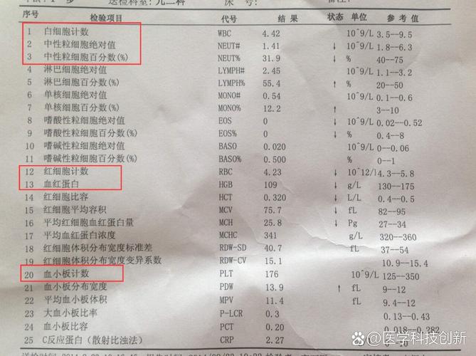4岁儿童血常规正常值范围是多少？不同指标异常可能预示哪些健康问题？-第3张图片-郑州医学网