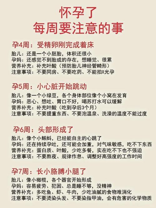 孕期五个月要注意什么？饮食、运动、产检关键点全解析！-第1张图片-郑州医学网