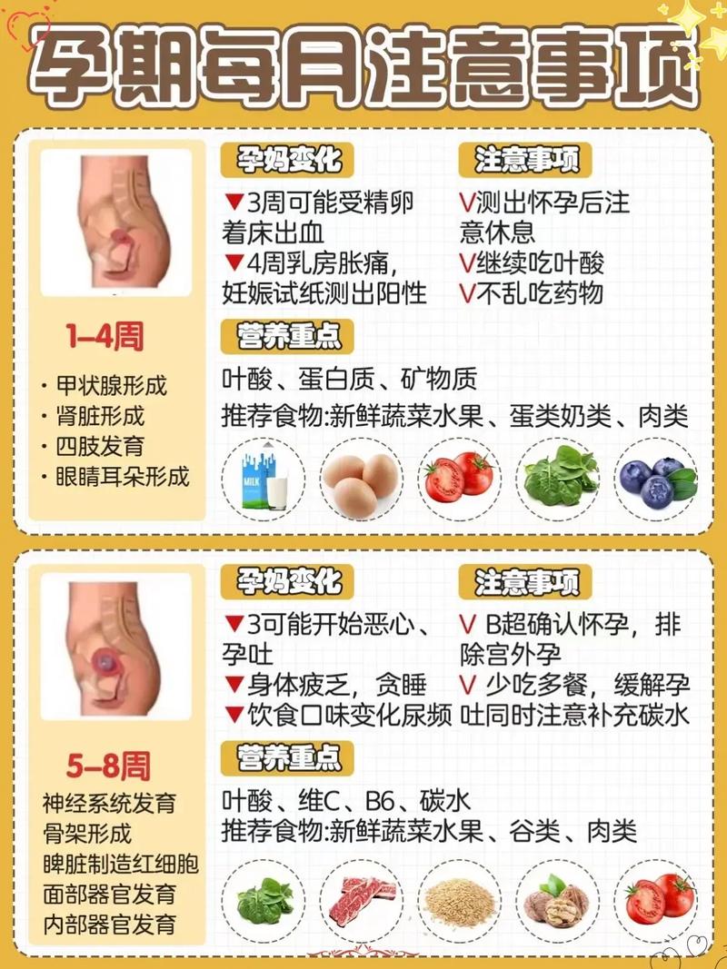 孕期五个月要注意什么？饮食、运动、产检关键点全解析！-第3张图片-郑州医学网