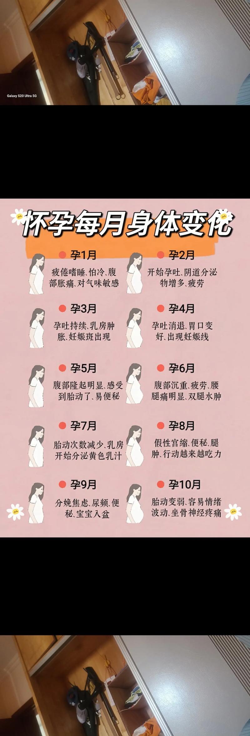 孕期五个月要注意什么？饮食、运动、产检关键点全解析！-第2张图片-郑州医学网