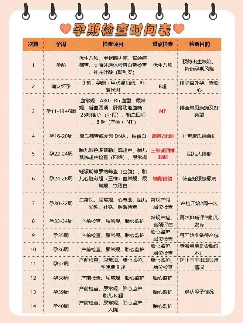 怀孕期间各阶段检查项目有哪些？关键指标如何解读？-第1张图片-郑州医学网
