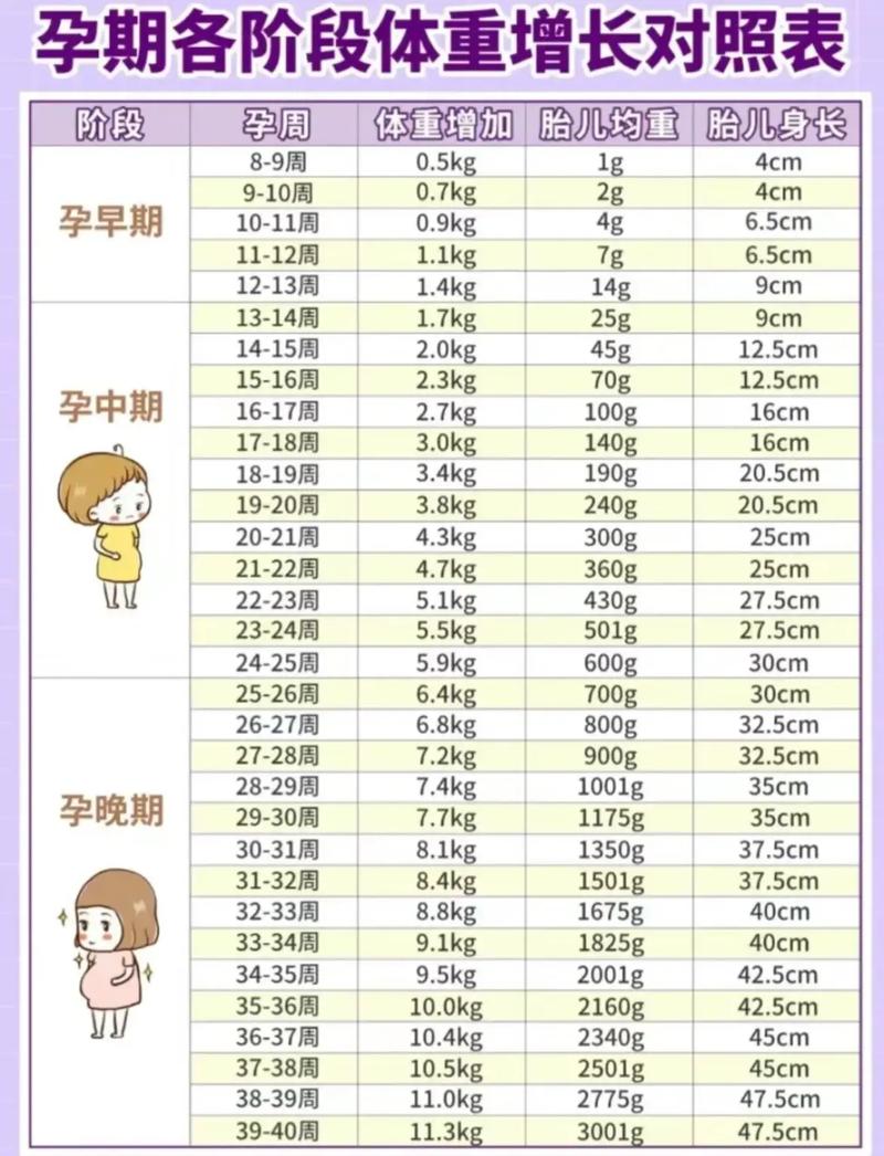 孕期体重每月增长标准到底是多少？不同孕月增长范围有何差异？-第2张图片-郑州医学网