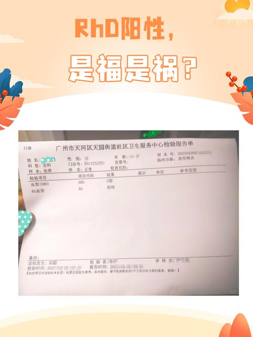 孕期抽血发现RH血型阳性会对胎儿和分娩有什么影响?-第3张图片-郑州医学网 孕期抽血发现RH血型阳性会对胎儿和分娩有什么影响?-第3张图片-郑州医学网