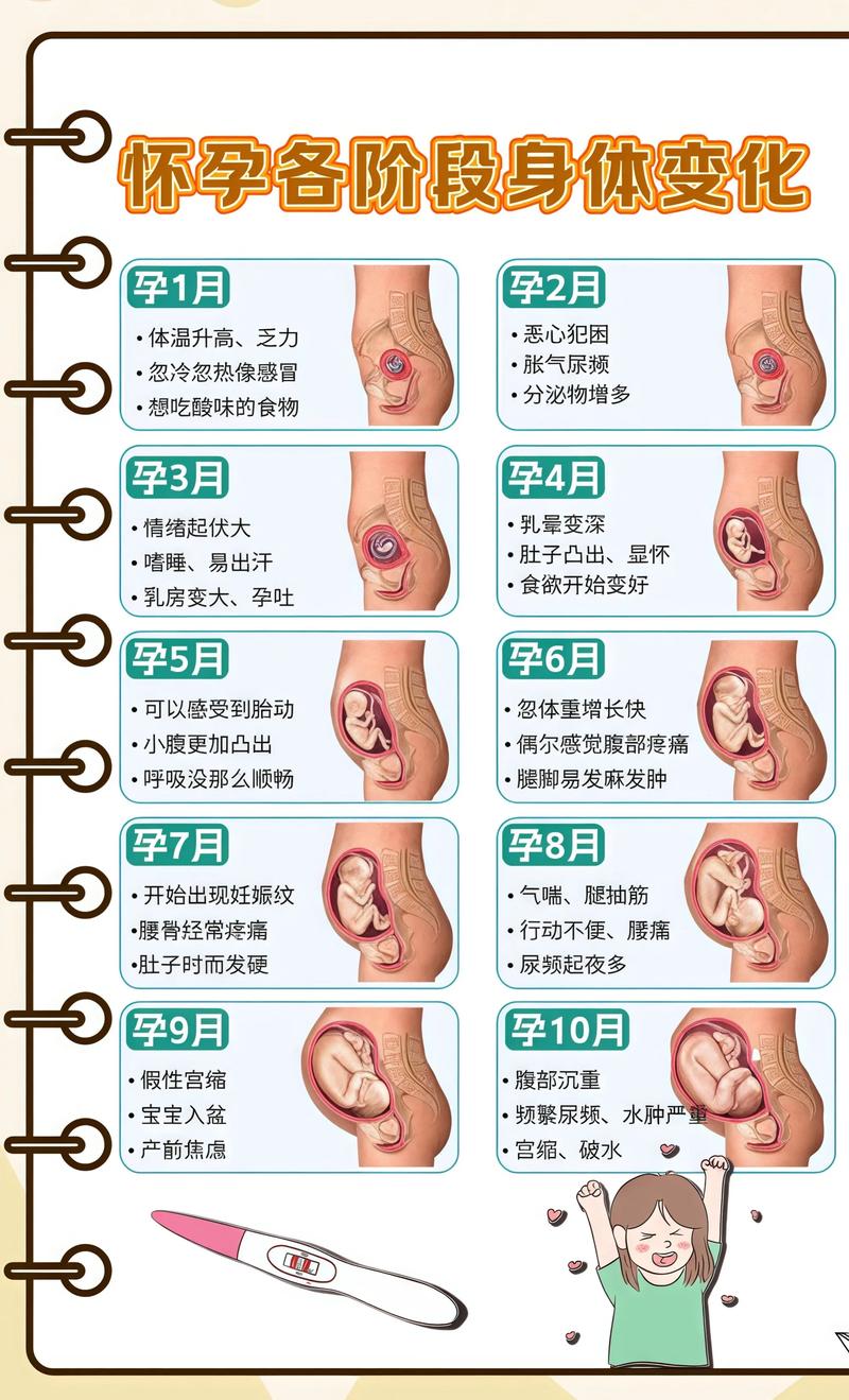 怀孕后孕期反应一般多久会消失？个体差异大吗？-第2张图片-郑州医学网