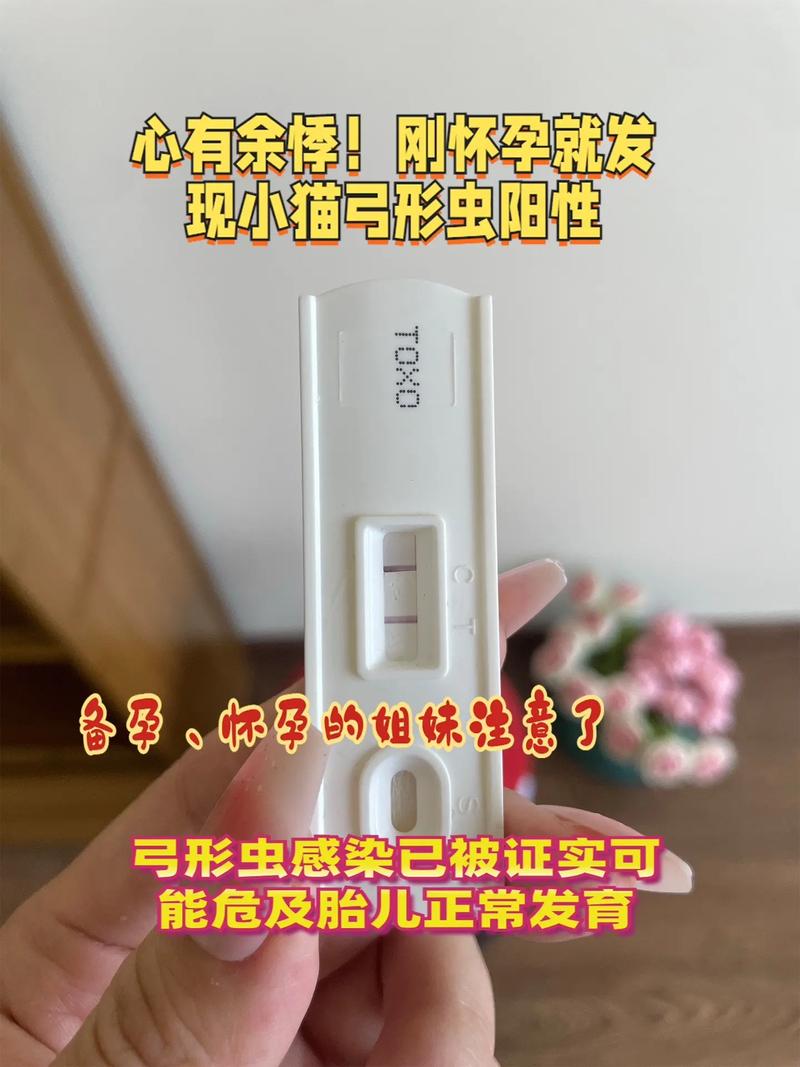 怀孕期间到底需要检查几次弓形虫才够？-第2张图片-郑州医学网