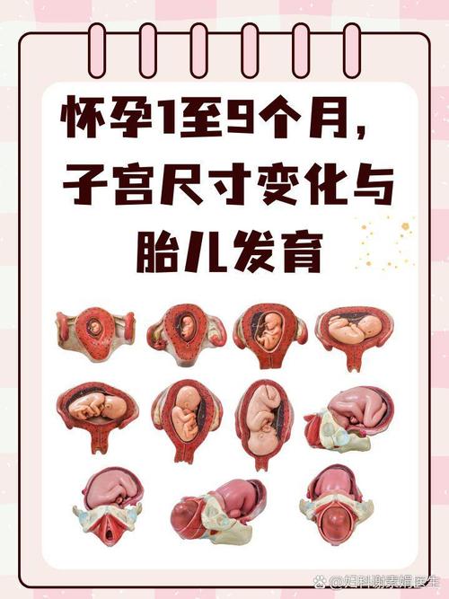 孕期宫颈长度37mm正常吗？对胎儿发育有影响吗？需要怎么保胎？-第2张图片-郑州医学网