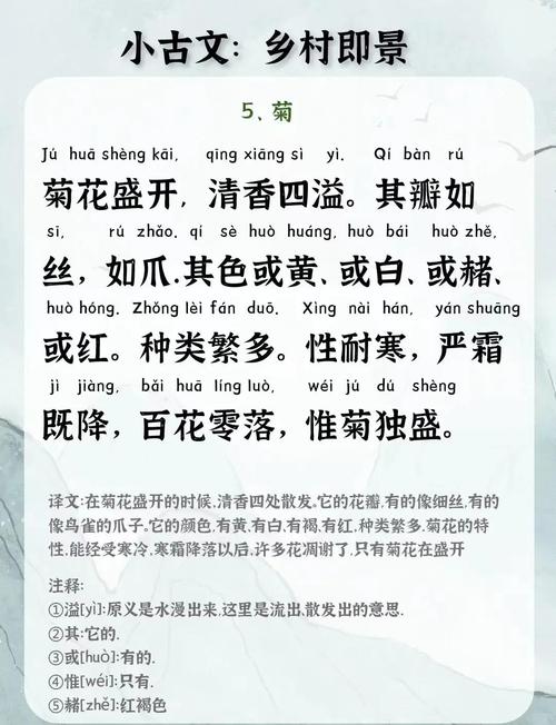 儿童散学归来早中的早究竟指什么时间段？为何诗人要强调早字背后的深意？-第3张图片-郑州医学网