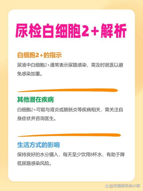 孕期尿常规尿白细胞2+需要担心吗?对胎儿有影响吗?-第1张图片-郑州医学网 孕期尿常规尿白细胞2+需要担心吗?对胎儿有影响吗?-第1张图片-郑州医学网