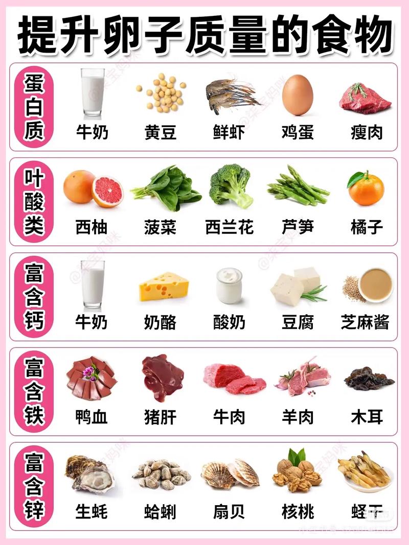 备孕期间老婆吃什么最科学？营养搭配与饮食禁忌全解析！-第3张图片-郑州医学网