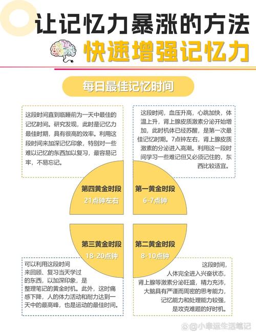 如何科学提升儿童记忆力？关键方法与实用策略全解析-第3张图片-郑州医学网