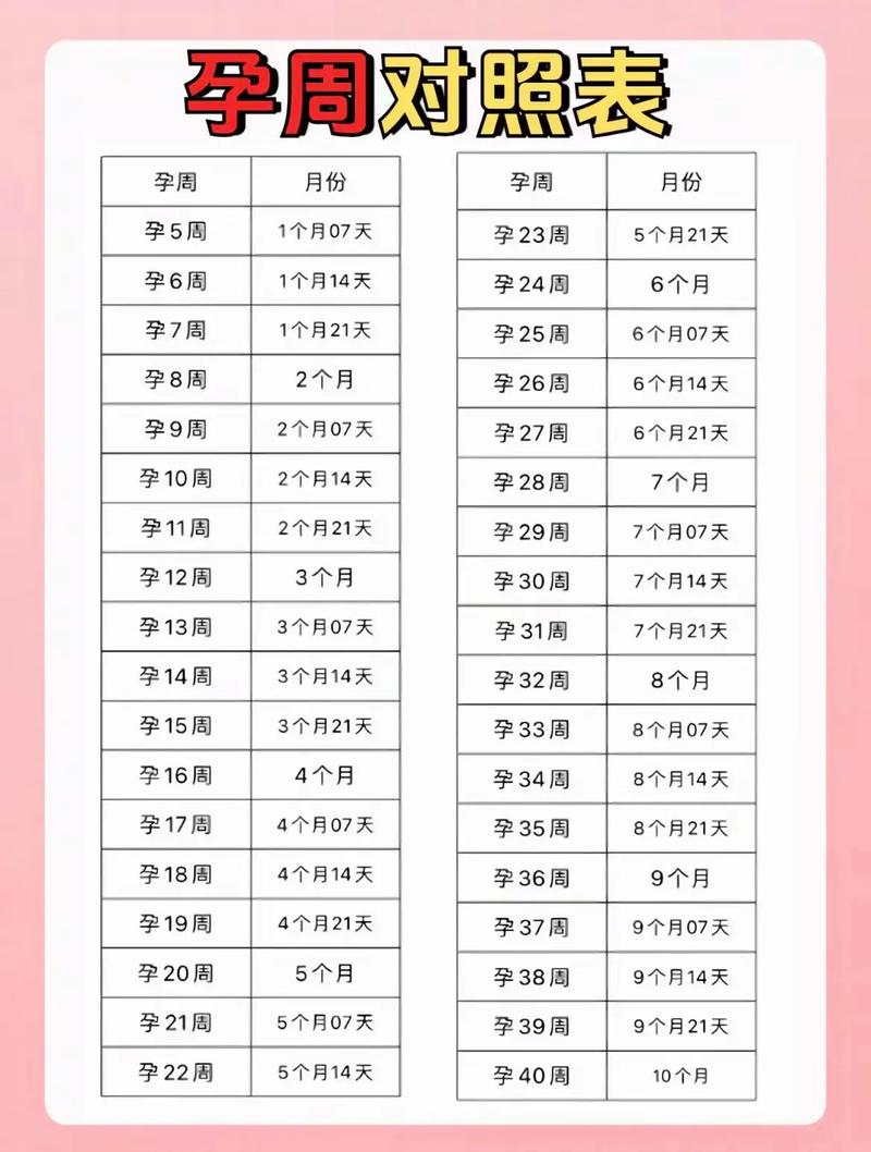 孕期多少周孩子长得快-第2张图片-郑州医学网