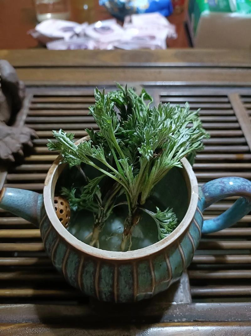 新生儿喝白蒿水安全吗？会不会影响肝肾功能或导致黄疸异常？-第1张图片-郑州医学网