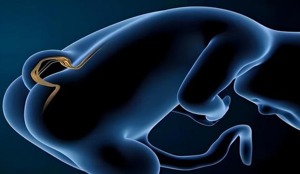 新生儿穿刺检查是否存在后遗症风险？后遗症类型及发生概率如何？-第1张图片-郑州医学网