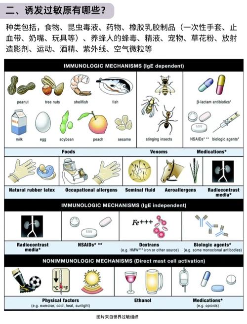 新生儿查过敏源到底准不准?不同月龄宝宝该怎么做?-第1张图片-郑州医学网 新生儿查过敏源到底准不准?不同月龄宝宝该怎么做?-第1张图片-郑州医学网
