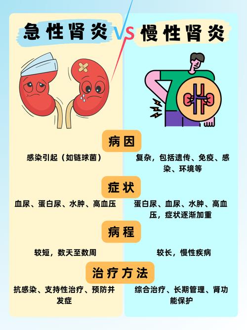 儿童肾炎是怎么引起的-第3张图片-郑州医学网