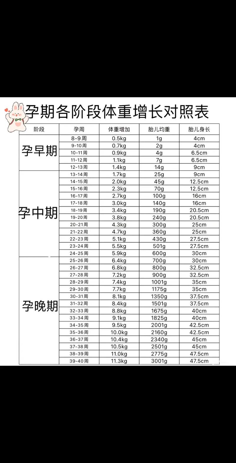 孕期体重不增长是异常信号吗?需警惕哪些潜在健康风险?-第3张图片-郑州医学网 孕期体重不增长是异常信号吗?需警惕哪些潜在健康风险?-第3张图片-郑州医学网