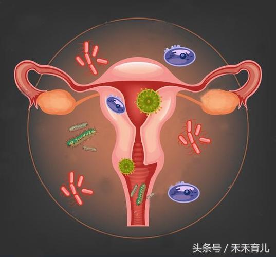 孕期外阴肿大怎么办？这5种缓解方法准妈妈必看！-第3张图片-郑州医学网