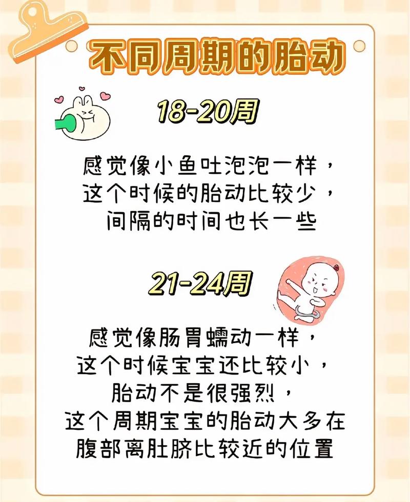 孕期6个月胎动不明显，是宝宝发育异常还是我的感知出了问题？-第1张图片-郑州医学网
